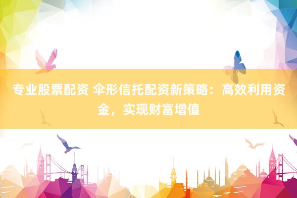 专业股票配资 伞形信托配资新策略：高效利用资金，实现财富增值