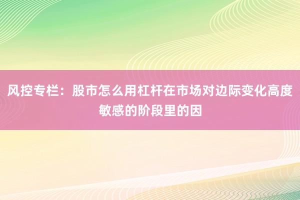 风控专栏：股市怎么用杠杆在市场对边际变化高度敏感的阶段里的因