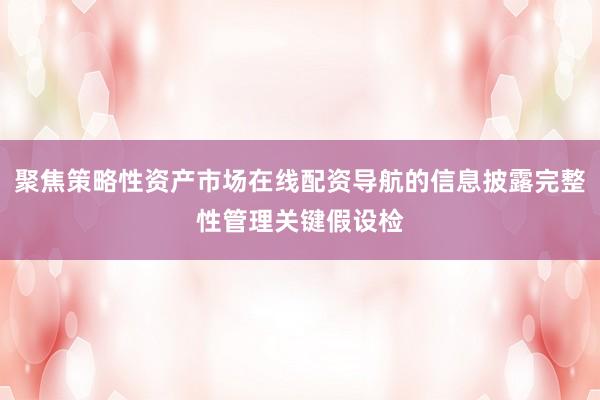 聚焦策略性资产市场在线配资导航的信息披露完整性管理关键假设检