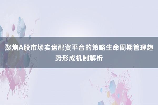 聚焦A股市场实盘配资平台的策略生命周期管理趋势形成机制解析