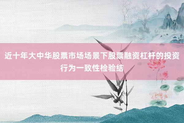 近十年大中华股票市场场景下股票融资杠杆的投资行为一致性检验结