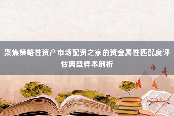 聚焦策略性资产市场配资之家的资金属性匹配度评估典型样本剖析