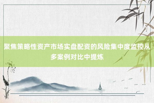 聚焦策略性资产市场实盘配资的风险集中度监控从多案例对比中提炼