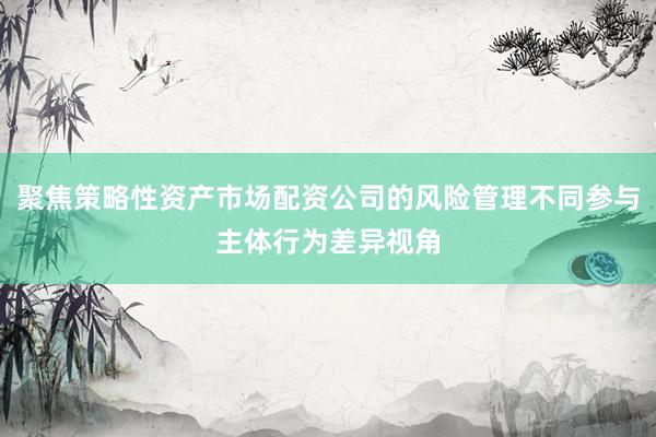 聚焦策略性资产市场配资公司的风险管理不同参与主体行为差异视角