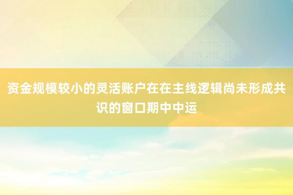 资金规模较小的灵活账户在在主线逻辑尚未形成共识的窗口期中中运