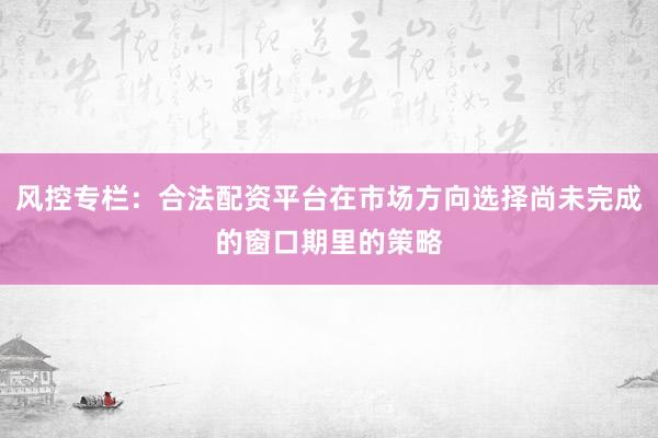 风控专栏：合法配资平台在市场方向选择尚未完成的窗口期里的策略