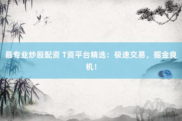 最专业炒股配资 T资平台精选：极速交易，掘金良机！