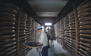 “食”话实说 | 寻味阳江豆豉,揭秘古老调料